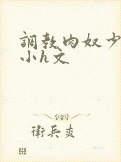 调教肉奴少司缘小h文