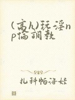 (高h)玩淫np伦调教