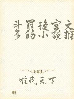 斗罗后宫文女主多的小说推荐