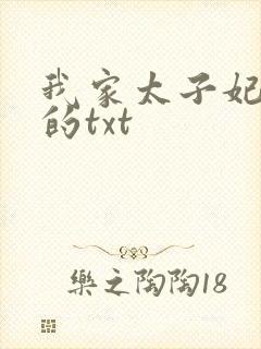 我家太子妃超凶的txt