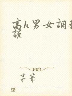 高h男女调教小说