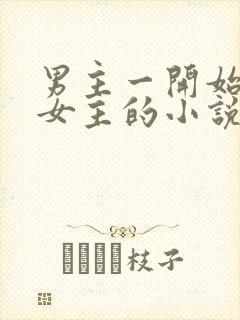 男主一开始厌恶女主的小说