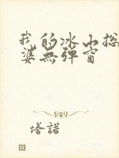 我的冰山总裁老婆无弹窗