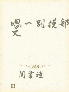 嗯～别摸那里h文封面