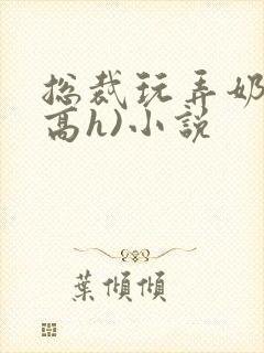 总裁玩弄奶头(高h)小说封面