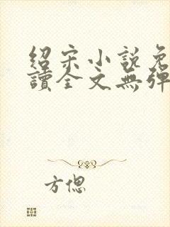 绍宋小说免费阅读全文无弹窗