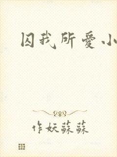 囚我所爱小说