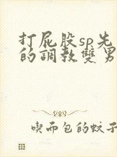 打屁股sp先生的调教双男主小说