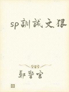 sp训诫文狠文封面