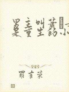 男主叫萧玦女主是重生的小说封面