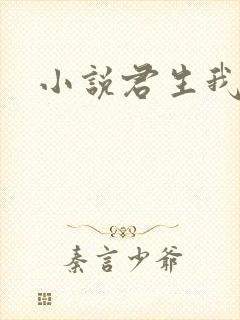 小说君生我已老