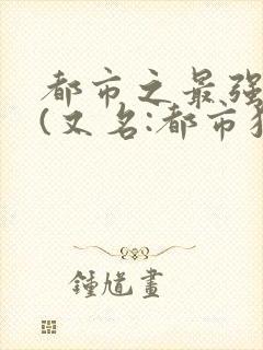 都市之最强狂兵(又名:都市狂枭) 大红大紫