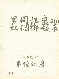 男同性恋sm狗奴捆绑起来调教的故事