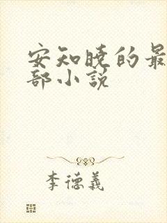 安知晓的最新一部小说