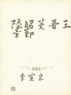 陆昭菱晋王最新章节