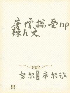 唐僧总受np高辣h文封面