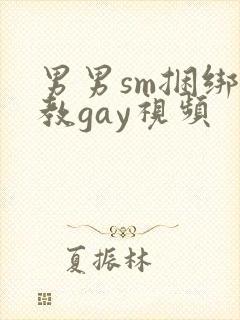男男sm捆绑调教gay视频封面