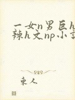 一女n男巨h高辣h文np小说