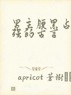 男主腹黑占有欲强的古言