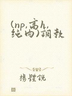 (np,高h,纯肉)调教