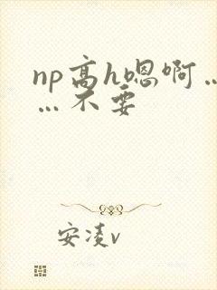 np高h嗯啊……不要