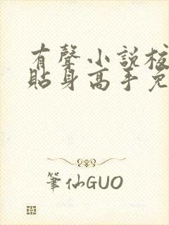 有声小说校花的贴身高手免费