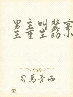 男主叫裴宴,女主重生的小说