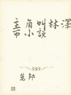 主角叫林泽的都市小说