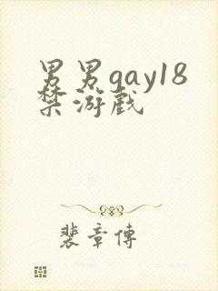 男男gay18禁游戏