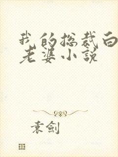 我的总裁白富美老婆小说