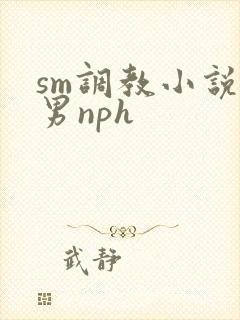 sm调教小说男男nph