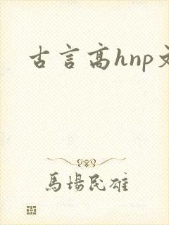 古言高hnp文封面