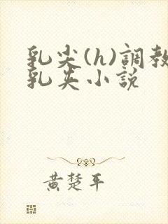 乳尖(h)调教乳夹小说封面