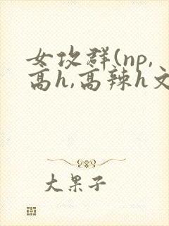 女攻群(np,高h,高辣h文)封面