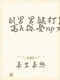 bl男男腿打开高h总受np文封面