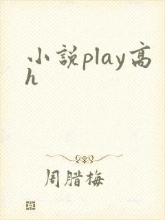小说play高h