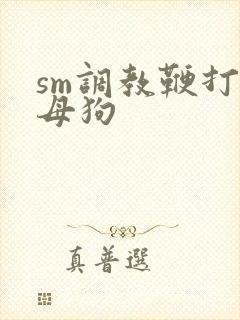 sm调教鞭打骚母狗封面