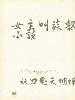 女主叫苏黎儿的小说封面