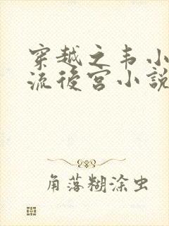 穿越之韦小宝风流后宫小说