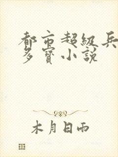 都市超级兵王佳多宝小说