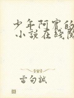 少年阿宾的故事 小说在线阅读