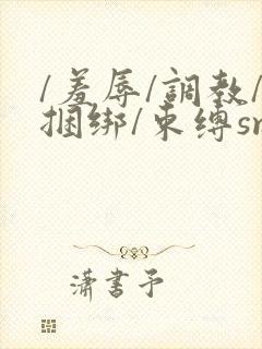 /羞辱/调教/捆绑/束缚sm男男