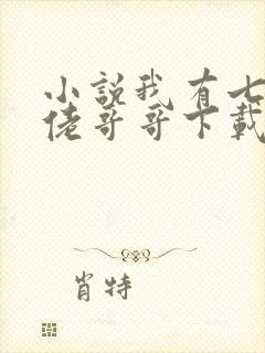 小说我有七个大佬哥哥下载