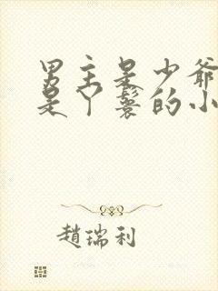 男主是少爷女主是丫鬟的小说