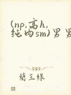 (np,高h,纯肉sm)男男