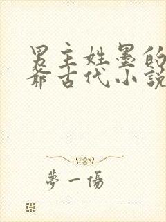 男主姓墨的是王爷古代小说