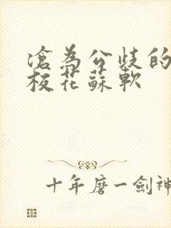 沧为公歧的清纯校花苏软