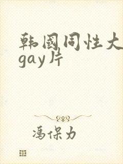 韩国同性大尺度gay片