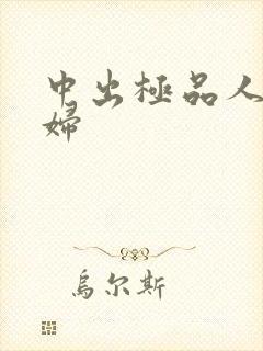 中出极品人妻少妇