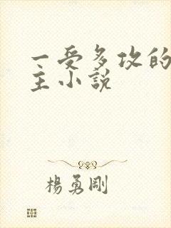 一受多攻的双男主小说